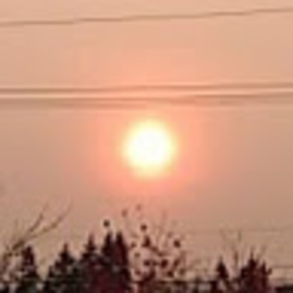 Meet your Posher, Alannah